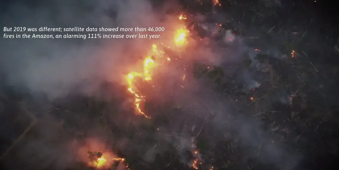 But 2019 was different; satellite data showed more than 46,000 fires in the Amazon, an alarming 111% increase over last year. Image by Sebastián Liste. Brazil, 2019.