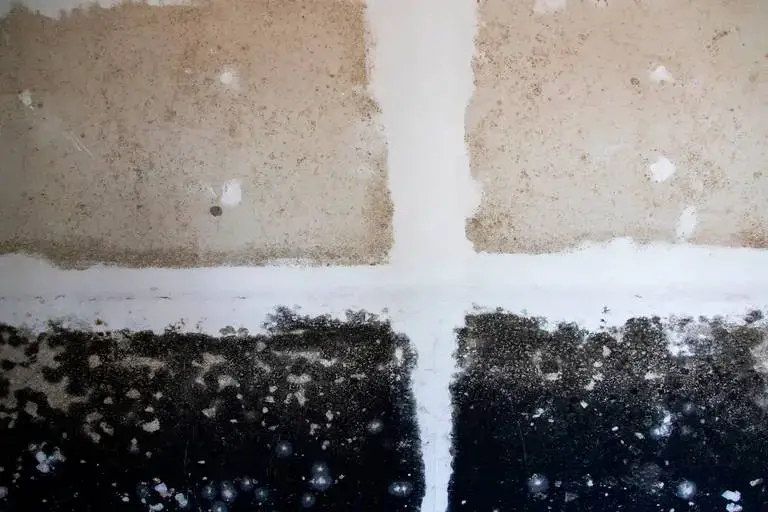 Patches of mold cover all the walls in an abandoned home in Sellers, South Carolina, on February 13, 2020. Many homeowners in Sellers inherited their homes and do not have a clear title for the property. Without a clear title, much of the town is unable to get disaster aid and must live with mold growing in their homes. Image by Joshua Boucher. United States, 2020.<br />
