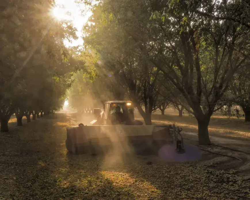 Dust from farm activities and other disturbances accounts for up to 15 percent of the total PM2.5 in some parts of the region. Image by Larry C. Price. California, 2018.