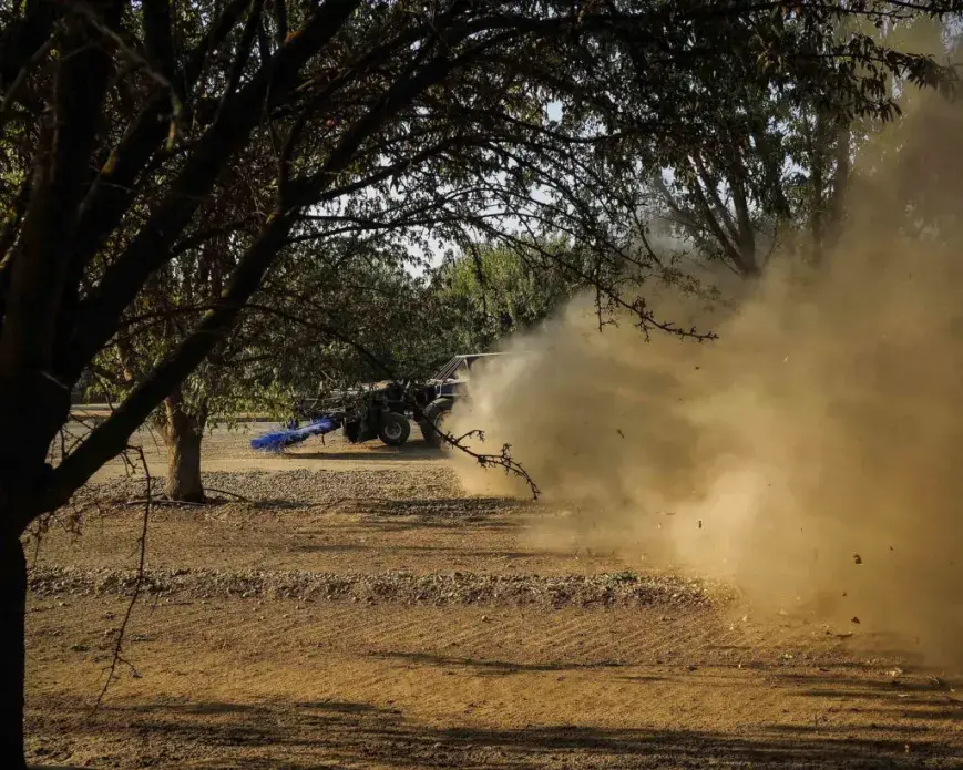 Both fine and coarse particulate pollution are a persistent problem in the valley, and not just for agricultural workers. Image by Larry C. Price. California, 2018.