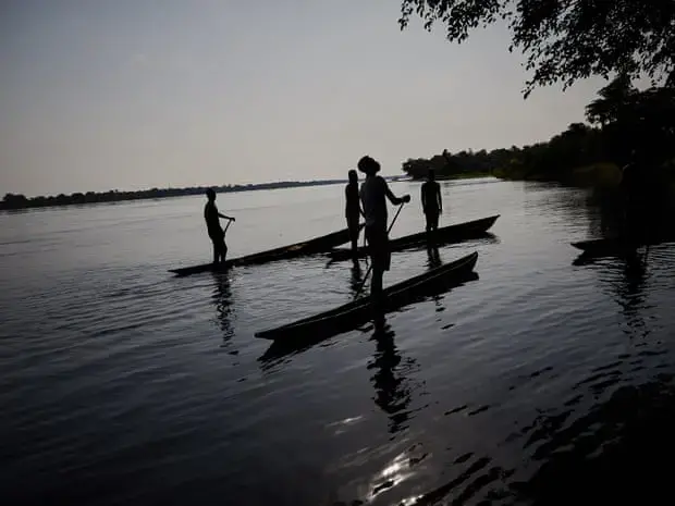 Fishermen on the river Rukie hunt a mamba in the trees near their village. Image by Hugh Kinsella Cunningham. Congo, 2019.