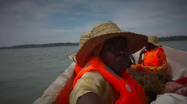Female farmers are adapting to a changing climate in order to maintain their source of income. Here, one farmer travels out to the deeper water to see to her seaweed crops. Image by&nbsp;Haley Joelle Ott. Zanzibar,&nbsp;2017.