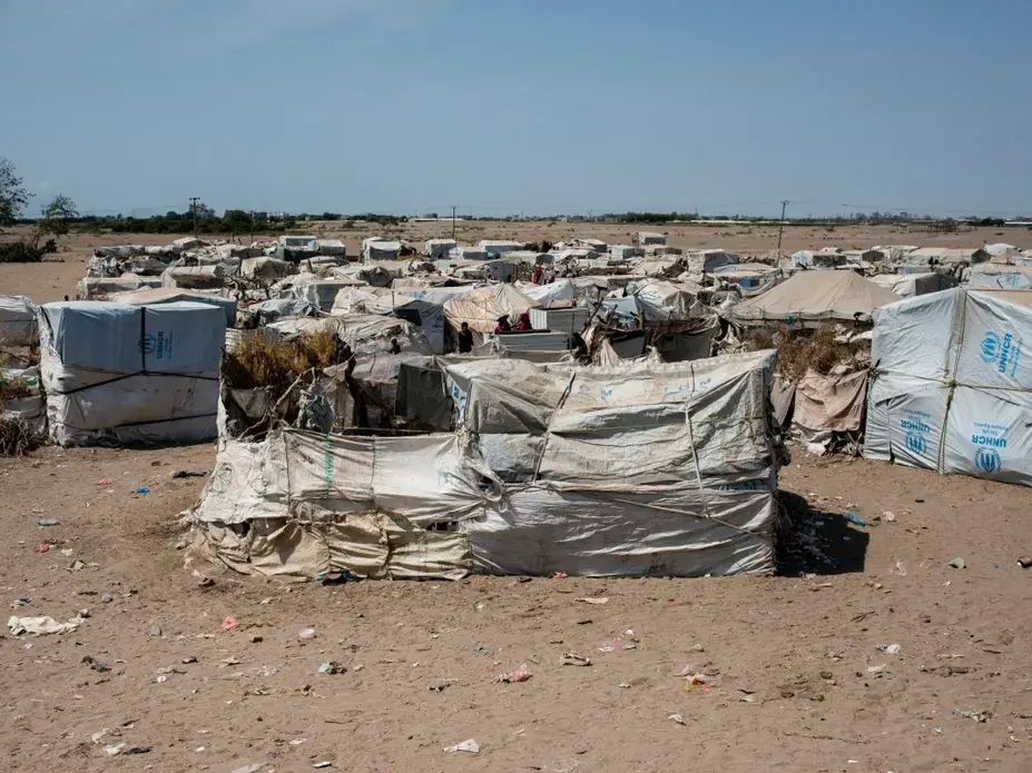 Makeshift tents held together with rope and protected by sticks bake under the sun in Mishqafa camp. Image by Alex Potter. Yemen, 2018. 
