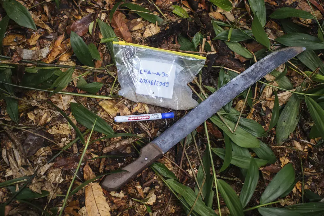 Tools used to collect bark samples. Image by Sarah Waiswa. Democratic Republic of Congo, 2019.