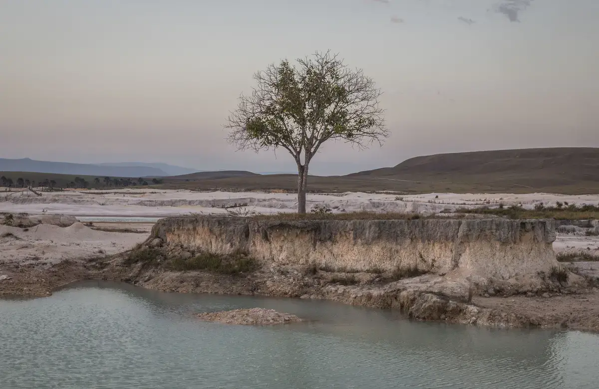 a single tree stands in a desolate landscape at sunset by water