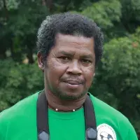 author image