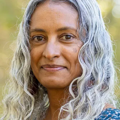 Deepa Fernandes