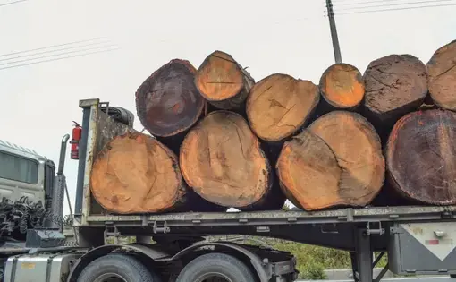En provincias como Orellana, la deforestación también ha aumentado de manera significativa, así como las necesidades de los pobladores. Image by Rodolfo Ansar. Ecuador, 2019.