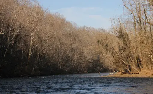 A fisherman wades into the Watauga River. Image by Emma Johnson. United States, 2021.