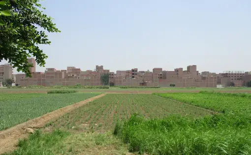New informal development in a Western suburb of Cairo encroaches onto agricultural land. Image by Jahd Khalil. Egypt, 2016.