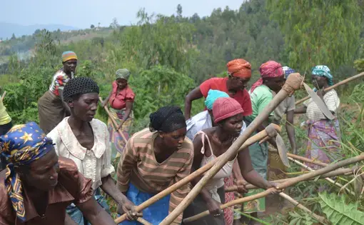In Rwanda's Southern Province, women of the Duteraninkunga till the soil in order to grow more cassavas, a root vegetable used to make flour. The cooperative is made up of 30 women. Image by Cammie Behnke. Rwanda, 2018.