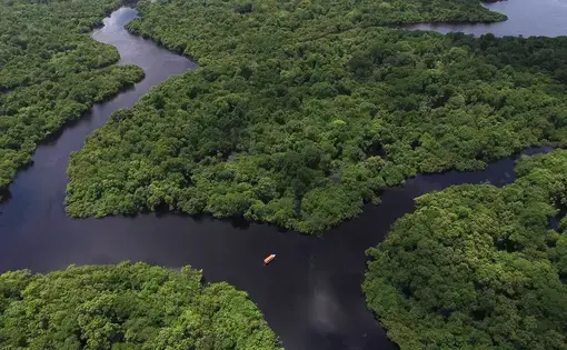 Aerial shot of the Amazon rainforest in South America. Image by Gustavo Frazao. Brazil, undated.