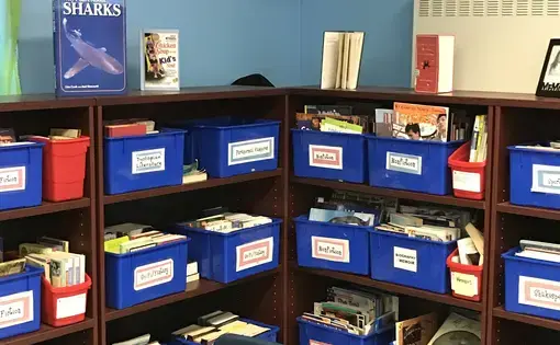 The “Literacy Library” in Ms. Lagares’ English and Language Arts classroom at Bea Fuller Rodgers School. Image by Holly Fleming. United States, 2017.