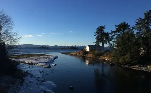 The salmon swim upstream from the sea into the island in the spring. Image by Brooke Stephenson. United States, 2019.