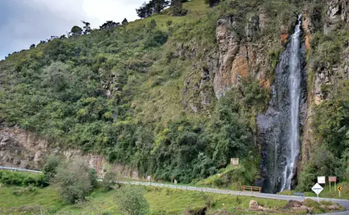 Image by Yefferson Ospina Bedoya. Colombia, 2019.