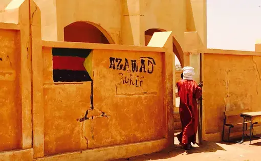 Image by Chris Arsenault. Mali, 2015.