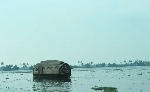 “The Venice of the East” is a common name for Alleppey, Kerala, India, where houseboat tours of the city’s historic canals are a popular tourist attraction. But, what tourists may not see is what lies in the smaller canals in the residential areas. Image by Katelyn Weisbrod. India, 2019.