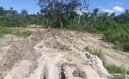 Pará concentra grande parte da Amazônia Legal desmatada. Imagem cortesia de CBN.