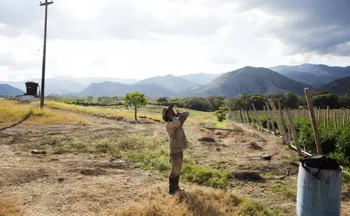 A former FARC combatant takes a break at a pepper farm near La Union, Valle del Cauca. Image by Greg Kendall-Ball/Nature. Colombia, 2018.