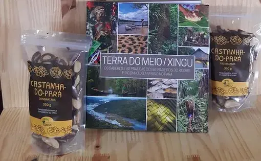 Cultivo e venda de castanha-do-pará está entre as atividades sustentáveis promovidas pela população da região. Imagem cortesia de CBN.
