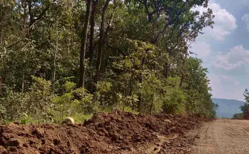 Infrastructure projects in biodiversity hotspots, such as the Western Ghats (pictured above) in Karnataka, threaten plant and animal species, causing long-term damage to the environment and potentially exposing humans to COVID-19 like infections. Image by Disha Shetty. India, undated.