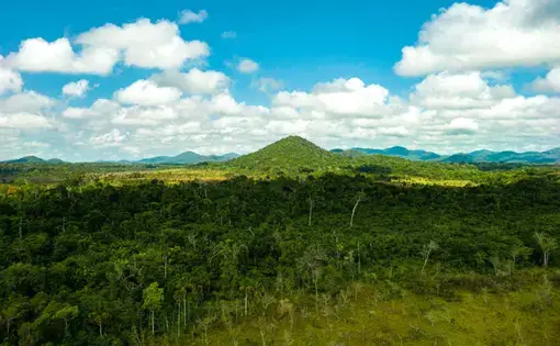 Parque do Tumucumaque Indigenous Lands. Image by Fernanda Ligabue / Mongabay. Brazil, undated.