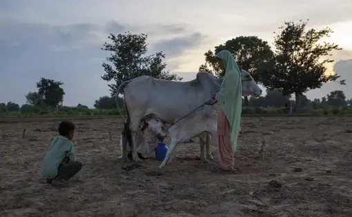 Image courtesy of Amit Madheshiya and Shirley Abraham.