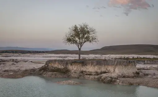 Campo Alegre is the largest mining area in Canaima National Park, located in the Gran Sabana, in the park’s eastern sector, in southeastern Venezuela. Image by Fabiola Ferrero. Venezuela, 2020.