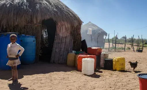 Botswana's Diamond-Cattle-Water Paradox
