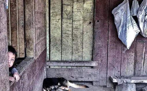 A young boy peeks from the window of a bache located in a coffee plantation near the Rio Sereno border crossing. Image by Samira Tella. Costa Rica, 2018.