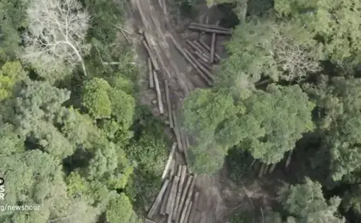 Image Courtesy of PBS NewsHour.
