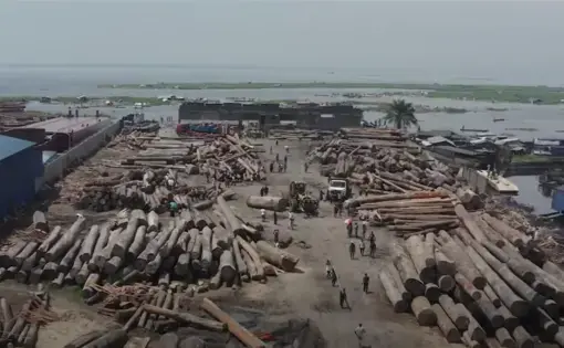 Image courtesy of PBS NewsHour.