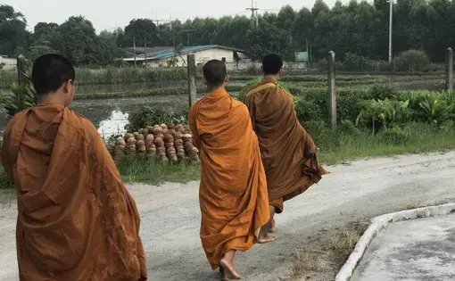 Three monks. Image by Kiley Price. Thailand, 2018.