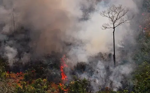 Aerial picture showing a fire raging in the Amazon rainforest about 65 km from Porto Velho, in the state of Rondonia, in northern Brazil, on August 23, 2019. Image by Carl De Souza/AFP/Getty Images. Brazil, 2019.