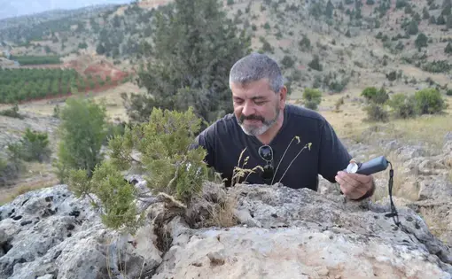 Antoine Geagea greets and waters a juniper tree growing on top of a boulder. Image by Catherine Cartier. Lebanon, 2019.