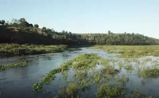 The Amazon is the world's largest rainforest and a critical line of defense against climate change. Image courtesy of PBS NewsHour. Brazil, 2019.