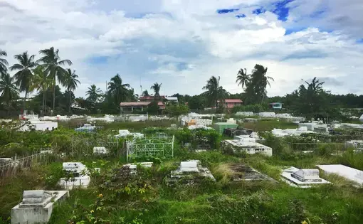 Overgrown graveyards scatter the roadsides. Image by Campbell Rawlins. Guyana, 2017. 