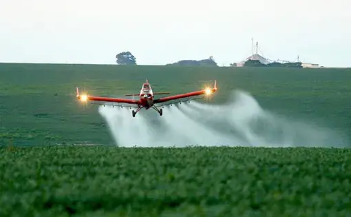 In Lucas do Rio Verde in the Amazon state of Mato Grosso, the terrible effects of one of these pesticides, Paraquat, accidentally sprayed over the population in 2006, can still be seen. It resulted in high cancer rates and the extinction of bees.