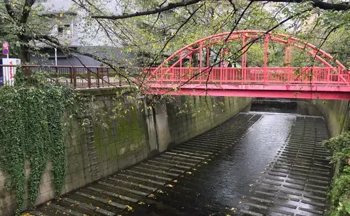 A complicated relationship with climate change and nature in Japan. A bridge over a channelized river in Naka-Meguro, Tokyo. Image by Daniel Merino. Japan, 2019.