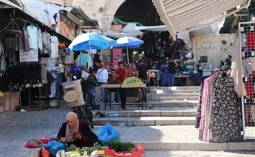 Women over 50-years-old can enter Israel from the West Bank without a permit. This woman travels hours from a small, poor agricultural village into Jerusalem daily to sell her harvest. She sits at Damascus Gate entering the Old City or in the center of the Muslim Quarter’s souk selling things like eggplant, prickly pear and herbs. Though they can enter freely, such women aren’t supposed to sell without proper documentation, one told me. She said they can’t afford the taxes levied with these permits…