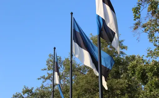 Estonian flags in Tallinn. Image by Hani Zaitoun. Estonia, 2019.