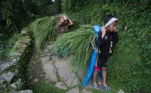 Image by Pankaj Khadka. Nepal, 2015.