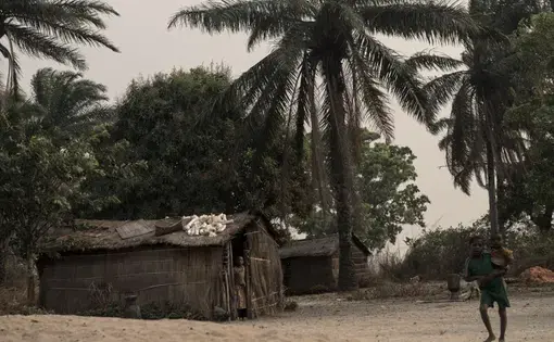 Cassava roots dry on the roof of a house on the outskirts of Kahemba. Image by Neil Brandvold. DRC, 2016.