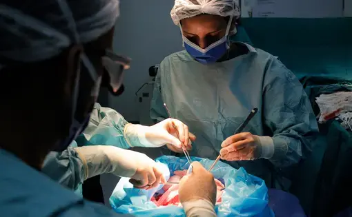 Members of a surgical team prepare a donated kidney to be transplanted into a patient on June 27, 2018, at an operating room in the private hospital Clínica Metropolitana, in Caracas, one of the few health centers that still performs this complex medical procedure. Image by Flaviana Sandoval. Venezuela, 2018.