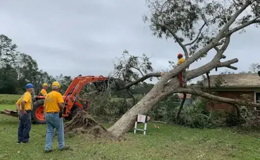 A volunteer disaster relief team with the Florida Baptist Convention removes a downed tree from a home in Silverhill, Ala., on Sept. 22, following Hurricane Sally. Image by Bob Smietana / Religion News Service. United States, 2020.