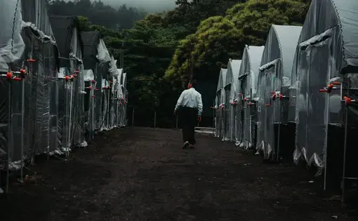 Toru Hoshikawa shows the green houses in which mushrooms are grown. Image by Audrey Henson. Japan, 2019.