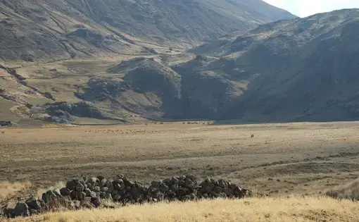 Two people walk through a field in Tuco one afternoon in early September. Photo by Dan Schwartz. Peru, 2019.