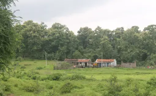 A house in the core zone of Kawal Tiger Reserve, in the state of Telangana. Image by Vandana Menon. India, 2019.