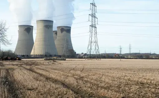 In the name of renewable energy, the British government is subsidizing the clear-cutting of the American Southeast. Image courtesy of Saul Elbein. United States, 2018.