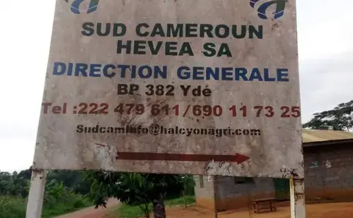 Image courtesy of Panorama Papers. Cameroon, undated.